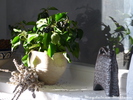 Detail Gästezimmer